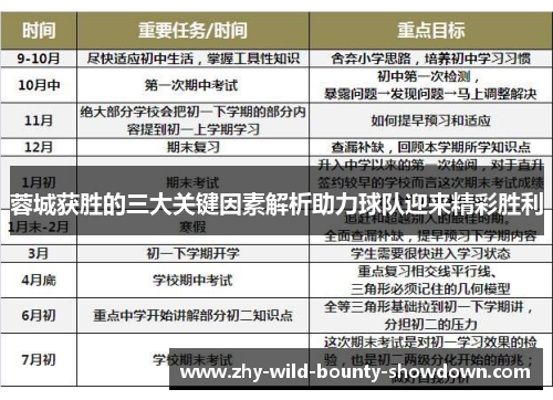 蓉城获胜的三大关键因素解析助力球队迎来精彩胜利